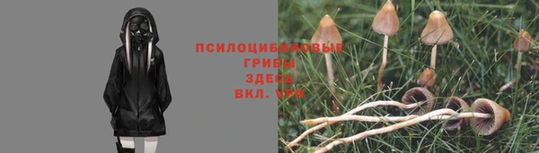 синтетический гашиш Алексин