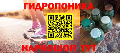 гашик Дубна