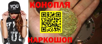 гашик Дубна