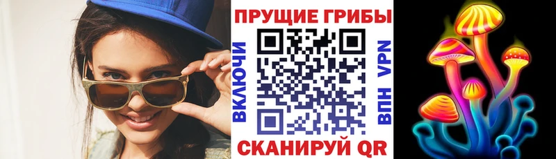 Галлюциногенные грибы прущие грибы  Камышин 