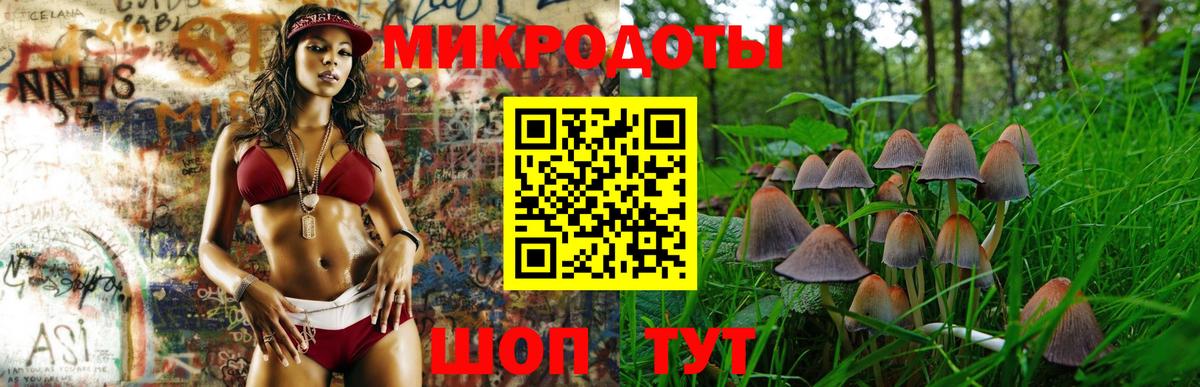 Камышин  Псилоцибиновые грибы GOLDEN TEACHER  купить наркотики сайты  Галлюциногенные грибы GOLDEN TEACHER  Вход с VPN 