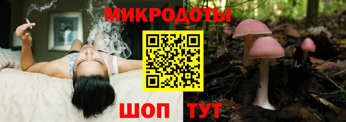 Галлюциногенные грибы MAGIC MUSHROOMS Камышин